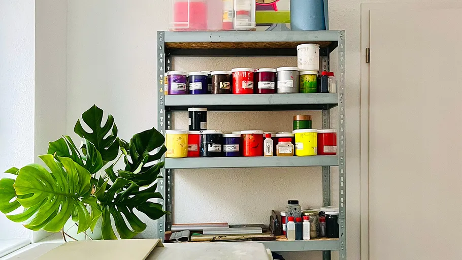 Shelf with paint cans and plant nearby.