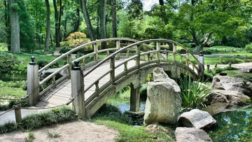 Wooden bridge over pond in garden.