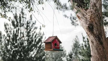 Rotes Vogelhaus hängt am Ast.