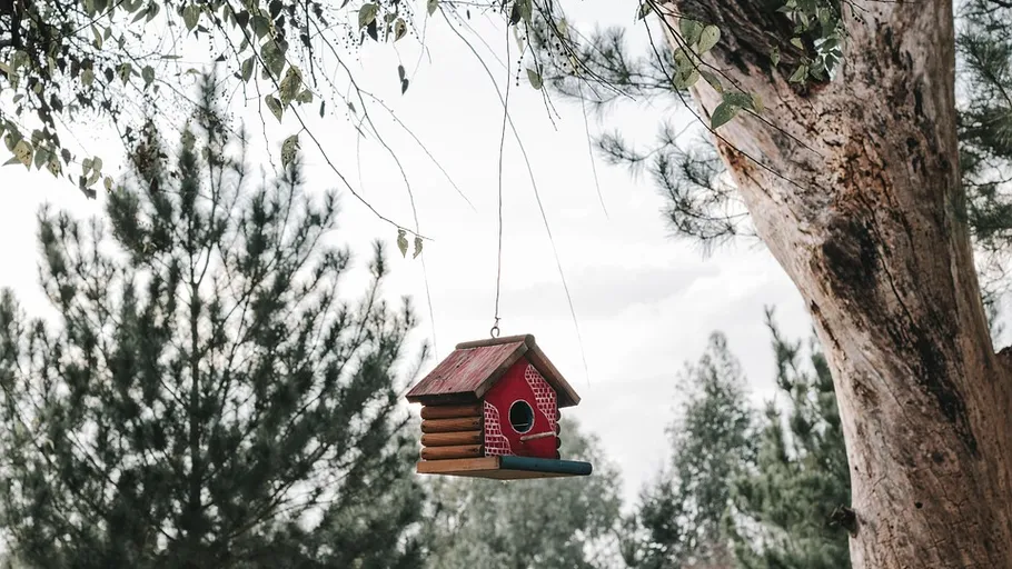 Red birdhouse hanging from tree branch.