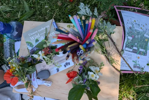 Buntstifte und Wildpflanzen auf Holzbrett.