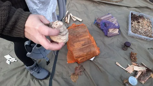 Person holding mushroom with foraging tools around.