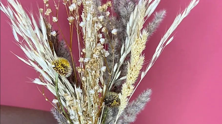 Getrocknete Blumen und Gräser vor rosa Hintergrund.