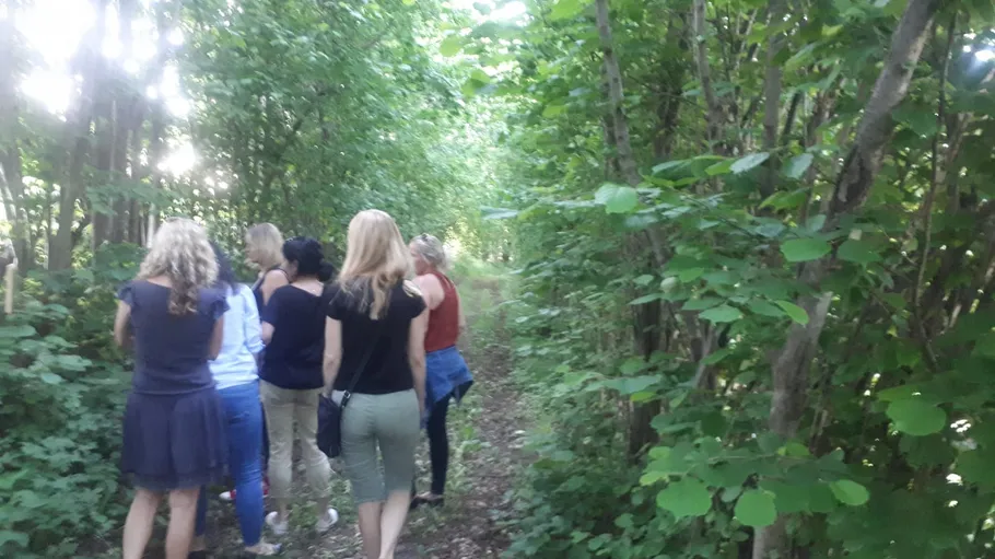 Group walking on forest trail surrounded by trees.