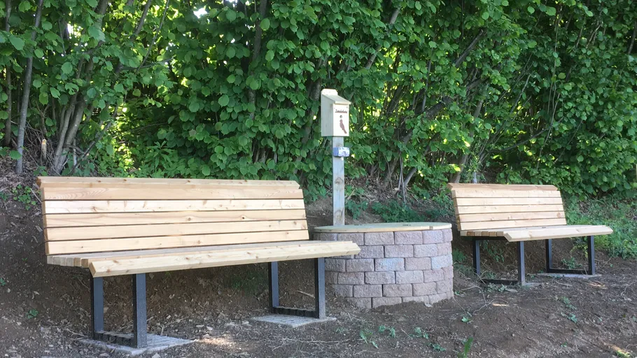 Two wooden benches near lush green bushes.
