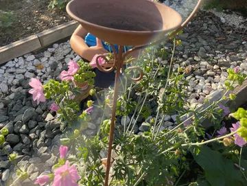 Garden with flowers and a terracotta birdbath.