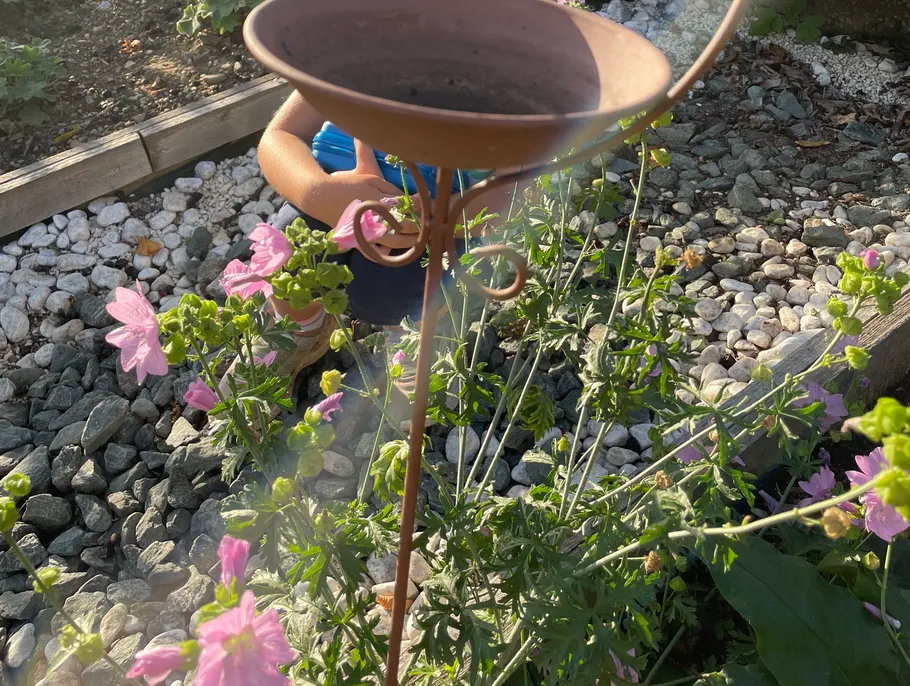 Garten mit Blumen und Terracotta-Vogelbad.