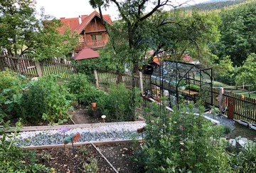 Garten mit Gewächshaus neben Holzhaus.