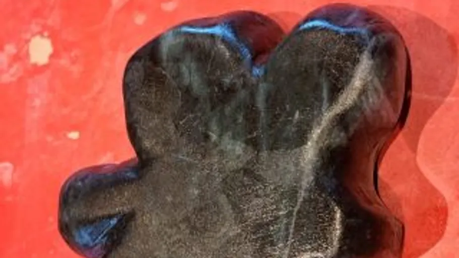 Black petroglyph artifact on red background.