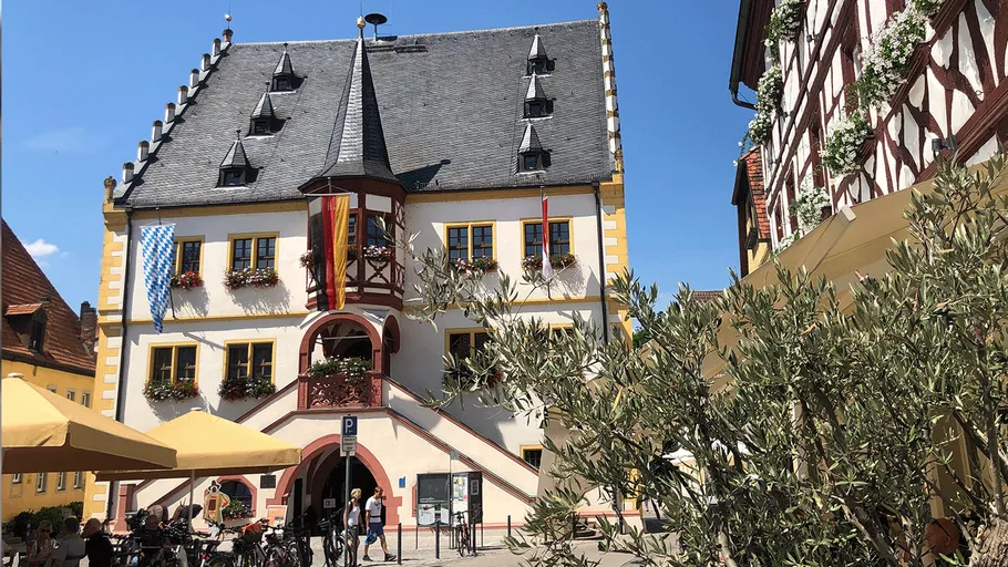 Historic building with flags and plants outside.
