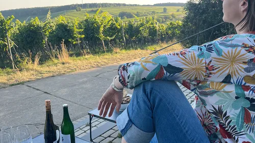 Person sitting near vineyards with bottles and glasses.