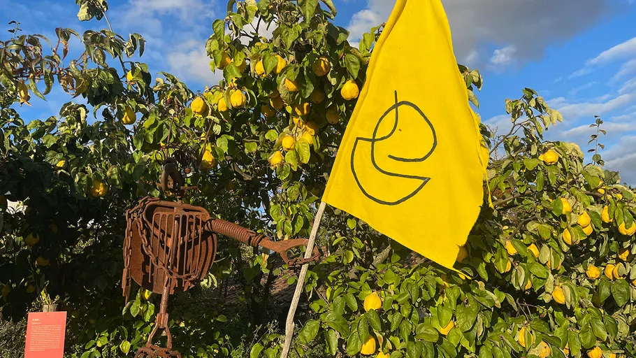 Gelbe Flagge mit Symbol neben Quittenbäumen.