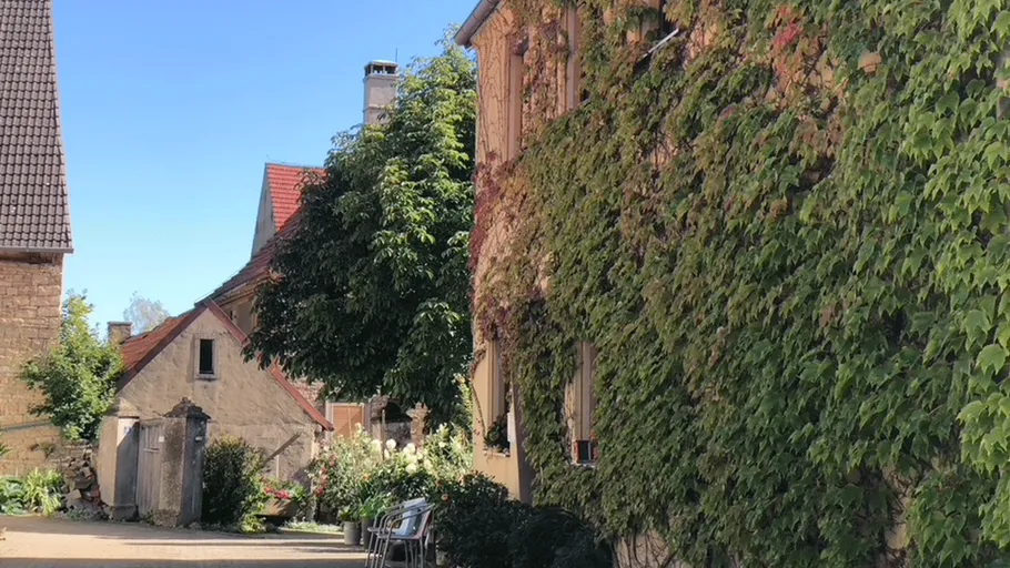 Ivy-covered building in sunny village street.