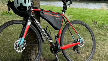 Bicycle leaning against tree near water