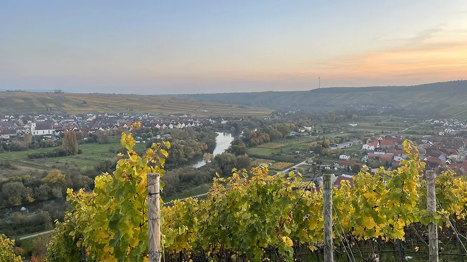 Weinberg mit Blick auf Fluss und Dorf bei Sonnenuntergang.