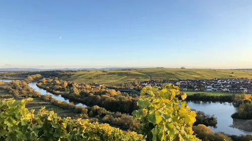 Weinberg mit Blick auf Fluss und Dorf.