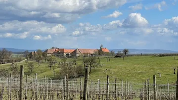 Farm buildings near vineyard under a cloudy sky.