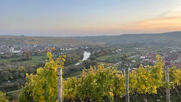 Weinberg blickt auf Tal bei Sonnenuntergang.