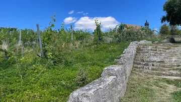 Steintreppe und Weinberg unter blauem Himmel.