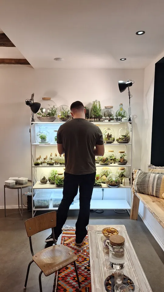 Person betrachtet Terrarien auf Regalen im Raum.