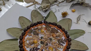 Natural mandala with seeds and leaves decor.