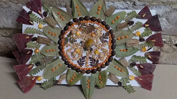 Blatt- und Samenmandala mit verschiedenen Farben.