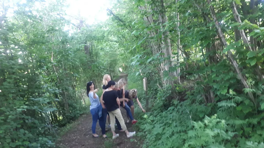 Group of people exploring forest trail.