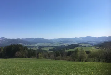 Grüne Felder und Bäume unter klarem blauen Himmel.