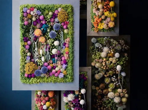 Colorful flower arrangements on a blue wall.