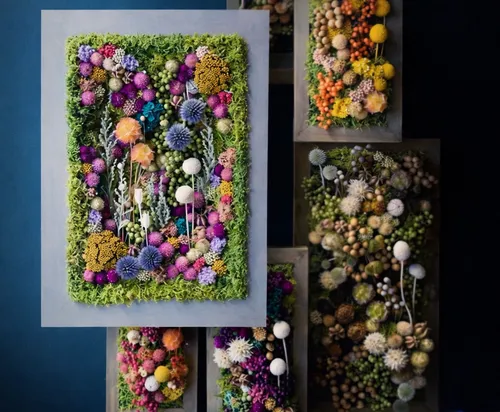 Colorful flower arrangements on blue background.