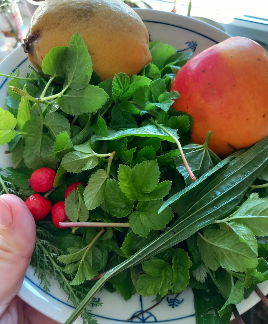 Fruits and green leaves on a plate.
