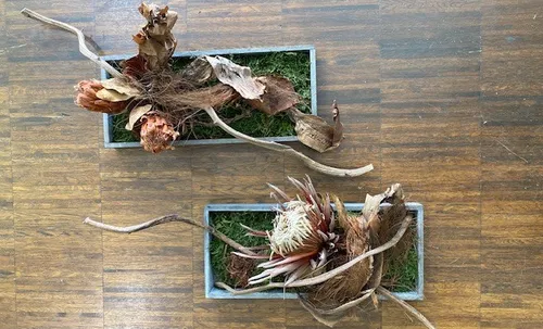 Zwei rechteckige Pflanzgefäße mit Trockenblumenarrangements.