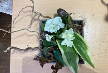Floral arrangement with white flowers on table.