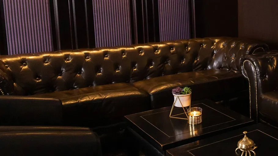 Leather sofa with candle and plant on table.