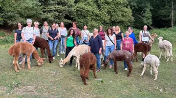Group of people with alpacas in a forest.