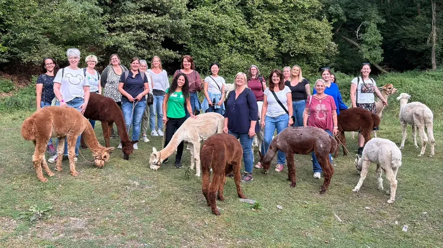 Gruppe von Menschen mit Alpakas im Wald.