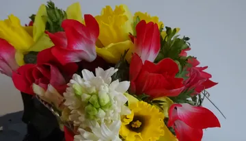Bunter Blumenstrauß mit Tulpen und Narzissen.