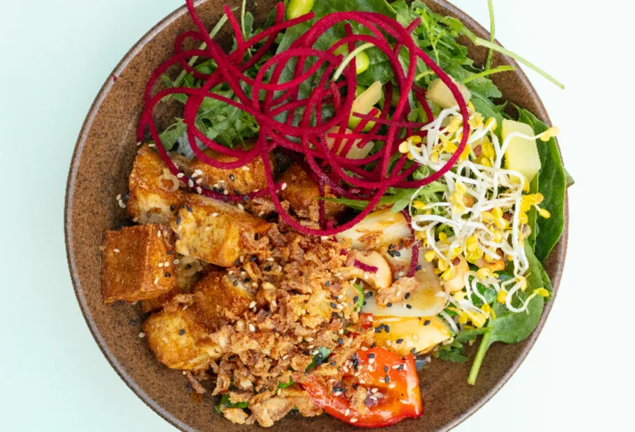 Colorful salad bowl with crispy tofu and greens.