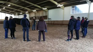 Menschen beobachten Pferdetraining in einer Halle.