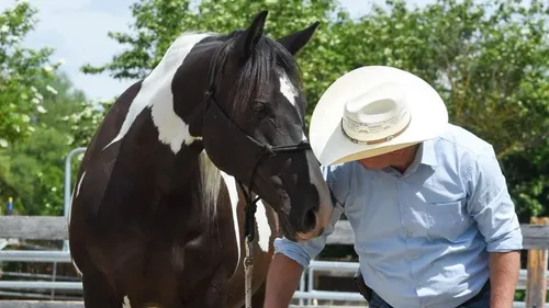 Pferd und Mann mit Cowboyhut im Freien.