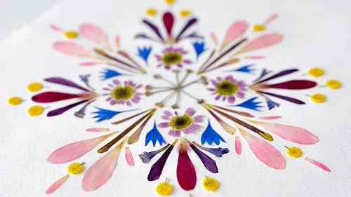 Bunte getrocknete Blumen kreisförmig angeordnet.