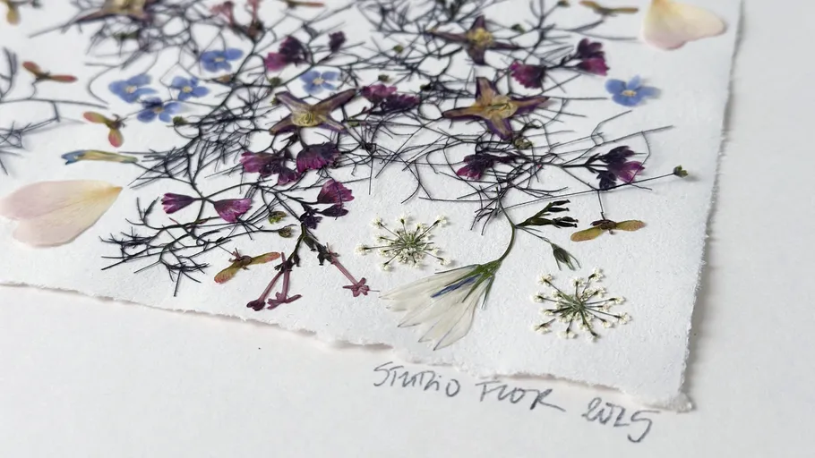 Gepresste Blumen auf weißem Papier.