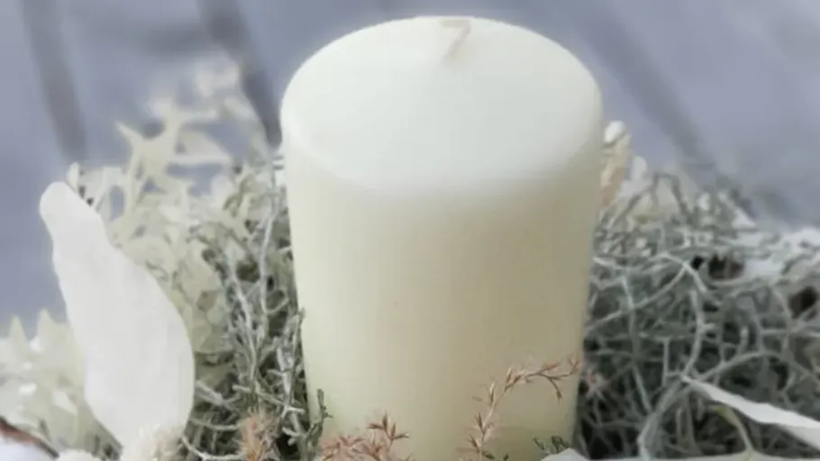 White candle surrounded by dry plants.