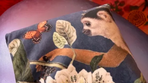 Monkey and butterfly on colorful pillow.