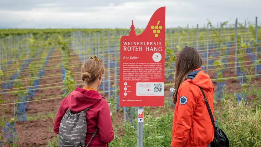 Zwei Personen lesen Schild im Weinberg.