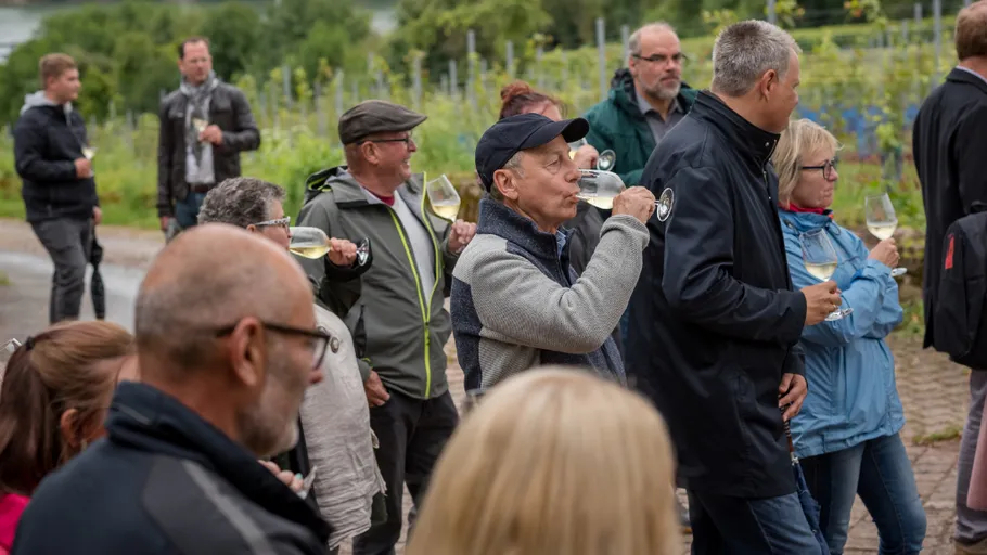 Group tasting wine in a vineyard.