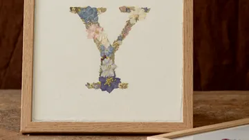 Framed letter 'Y' made of pressed flowers.