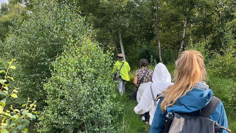 People hiking on a trail surrounded by trees.