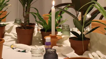 Plants and candle on a decorated table.