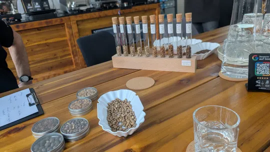 Coffee beans displayed in tubes on a table.